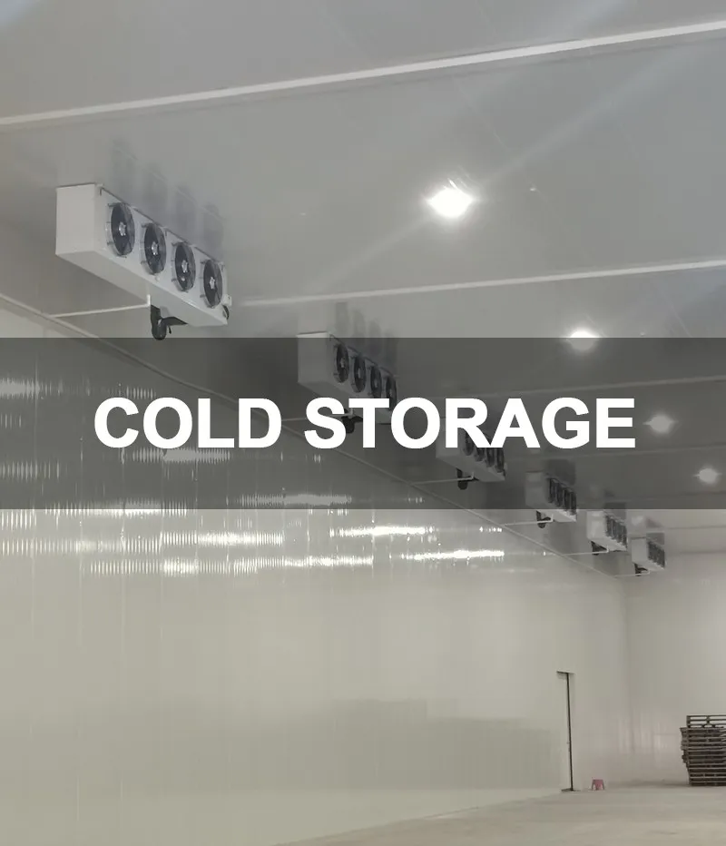 2.Cold Room 2.Cold Room