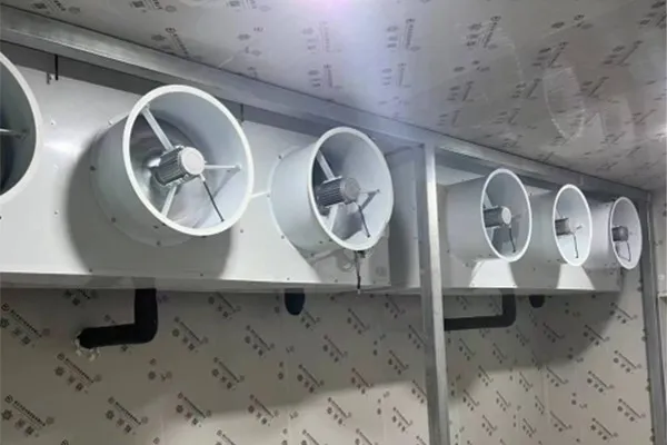 Blast Freezer Room